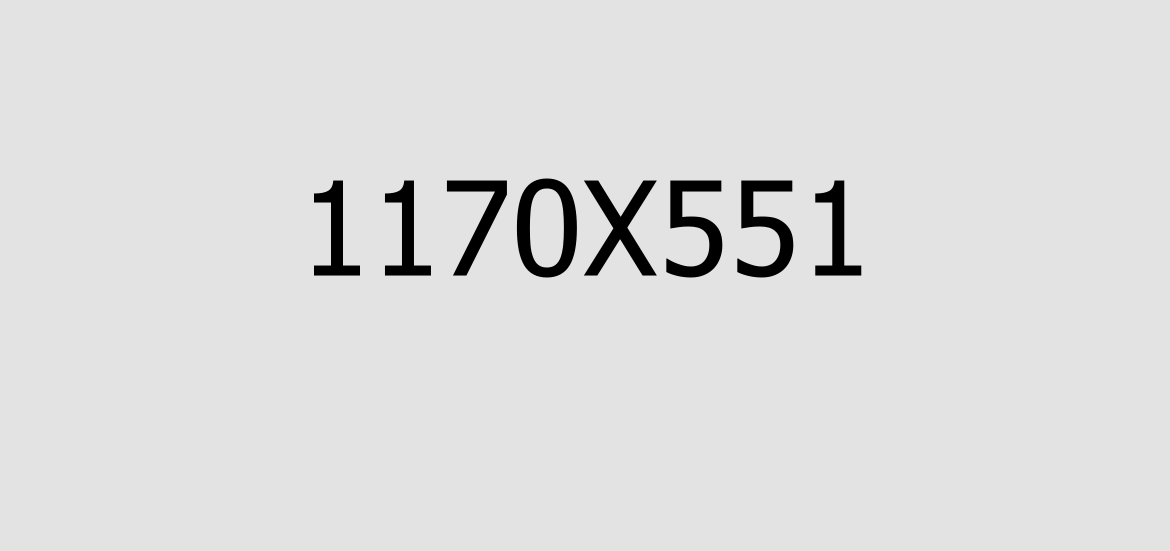 Portfolio Details